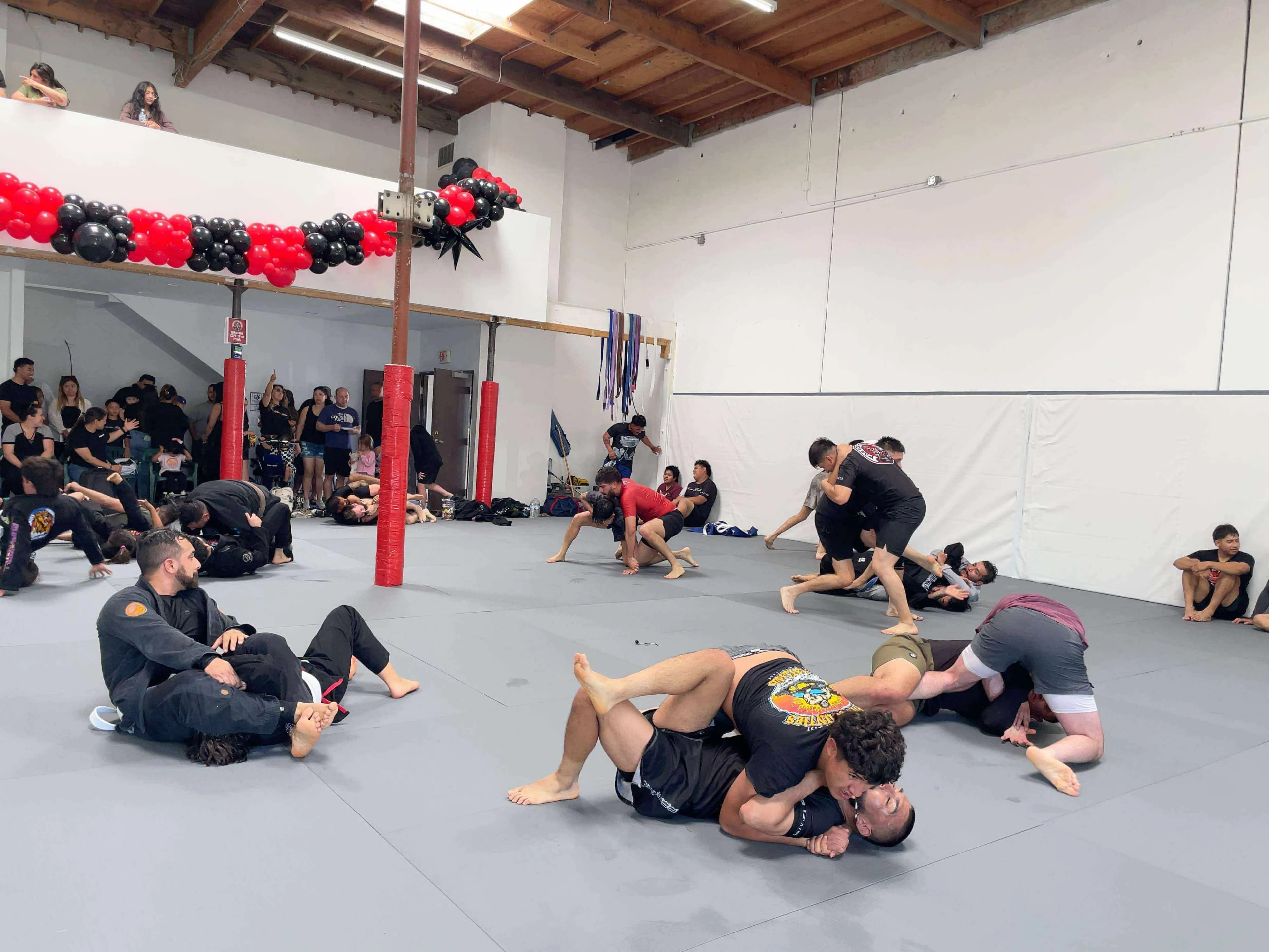 Free open mat training session