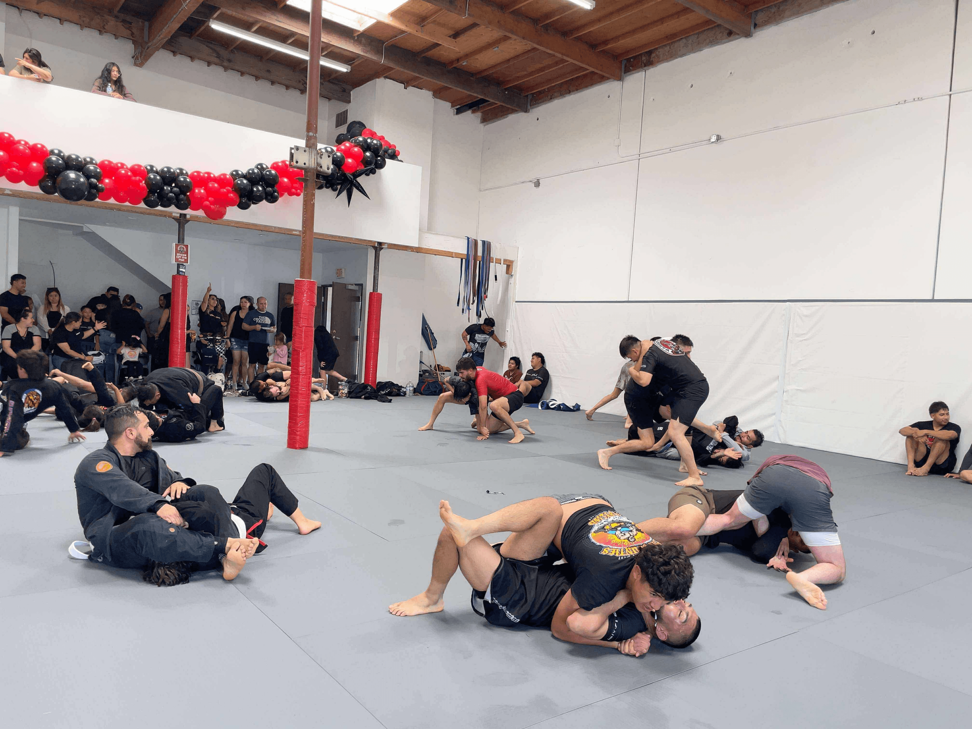 Free open mat training session